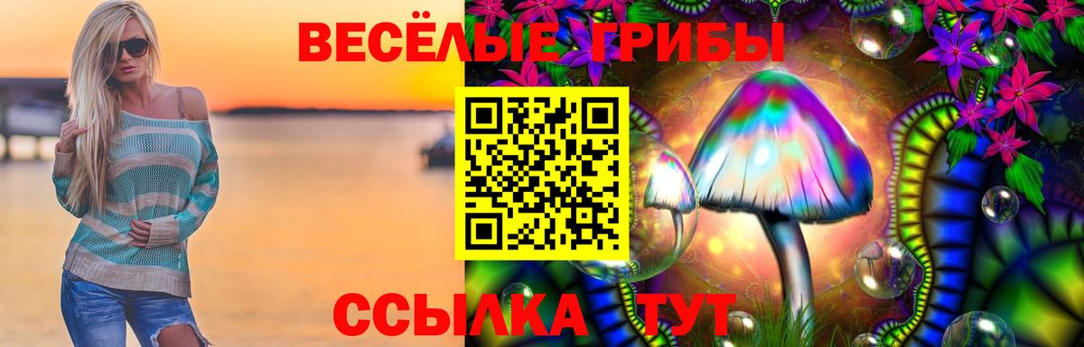 где купить наркоту  Галлюциногенные грибы Magic Shrooms  Вход с VPN  Псилоцибиновые грибы MAGIC MUSHROOMS  Раменское 